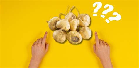 Image result for Fertility Maca Root