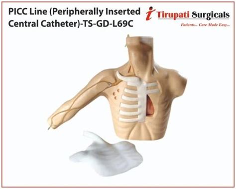 Catheterization Training - PICC Line (Peripherally Inserted Central ...