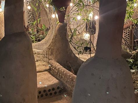 EARTHSHIP PUERTO RICO (2026) All You Need to Know BEFORE You Go (with ...