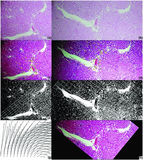 Image result for Normalization of Data