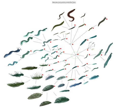 Image result for Alien Evolution History