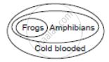 All Frogs Are Amphibians. All Amphibians Are Not Frogs. Aii Amphibians ...