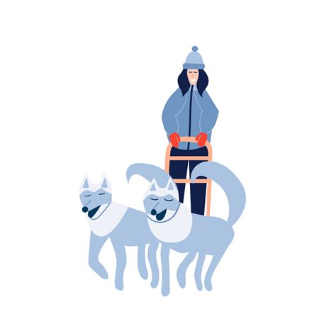 Woman musher riding dog sled team. Happy woman rides husky team dog sled. Vecgtor stock ...