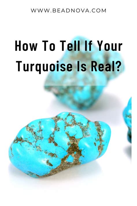 Turquoise Testing Real 的图像结果