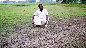 Farmers switch crops amid concerns over climate crisis | Climate Connection