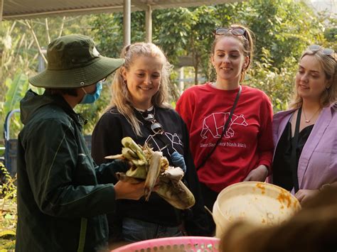 Journey to exploring Vietnam's biodiversity with 365 Travel - 365 Travel