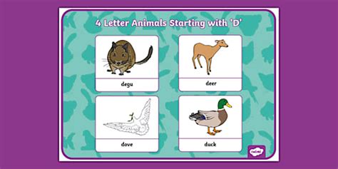 Four Letter Animals That Start with 'D' Display Poster