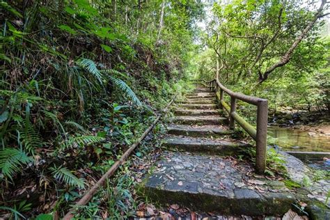 Tai Po Kau Nature Reserve, Hong Kong SAR - What To Know BEFORE You Go ...