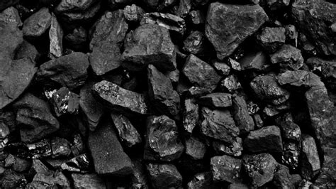 Bharat Coking Coal Ltd Launches 5.0 MTPA Madhuband Washery Operations