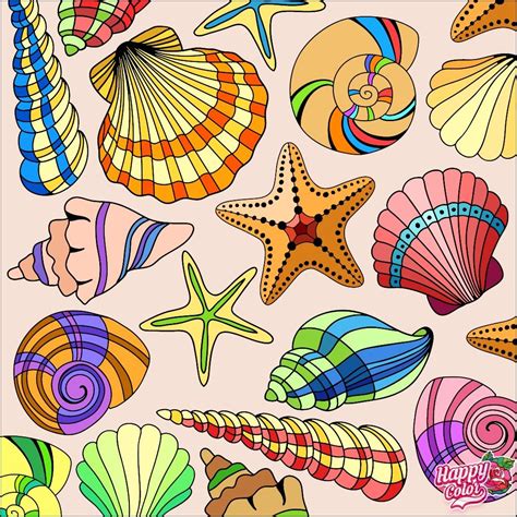 Seashells clip art – Artofit