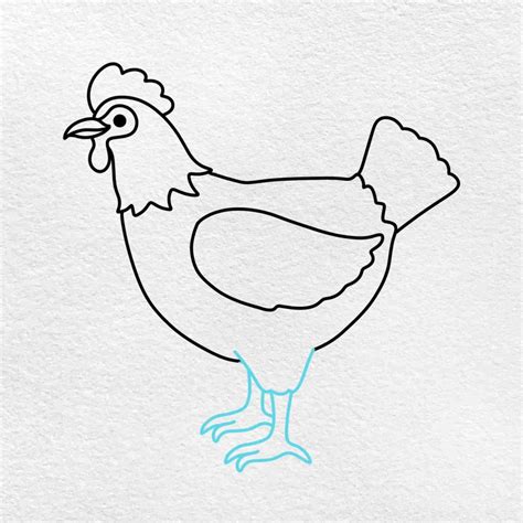 Chicken Color Drawing Easy