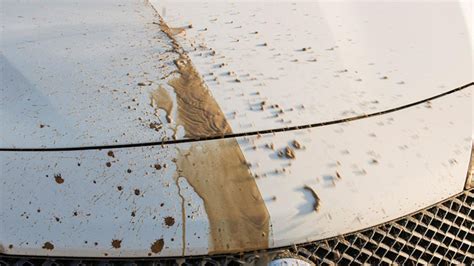 Science Technology Paint 的图像结果