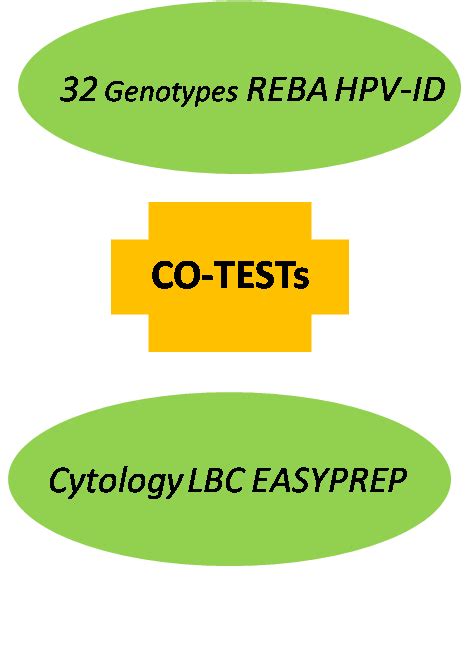 Image result for Codity Tests Code T