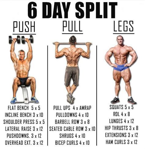 Image result for Split Routine Sample Workout