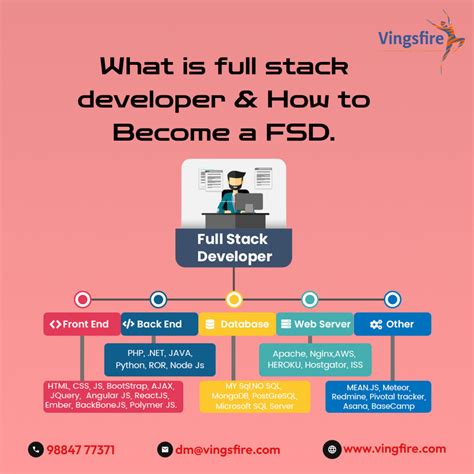 Who Is a Full Stack Developer 的图像结果