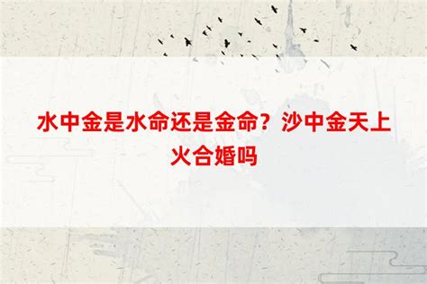 涧下水命是什么意思 涧下水命最忌什么_奇缘阁算命网