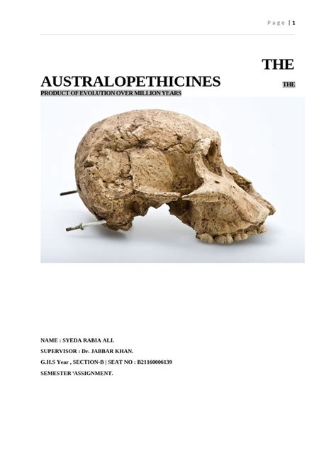 Australopithecus Discovery 的图像结果