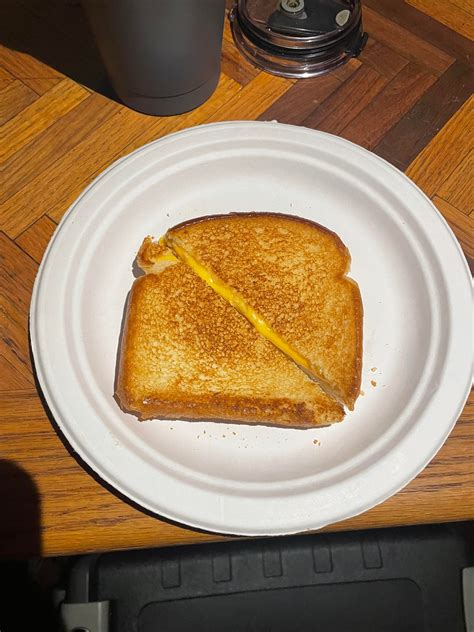 I made grilled cheese for lunch today. No bs, just cheddar cheese ...