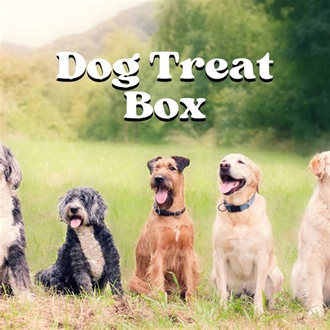 Pet Box - Canyon Valley Provisions