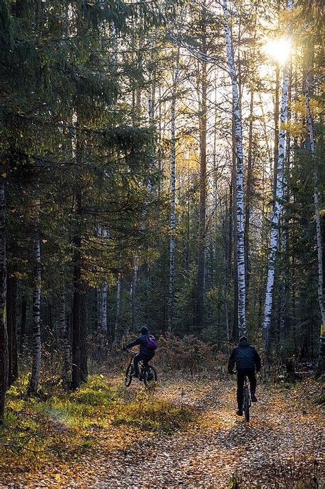 Cycling for Fun 的图像结果