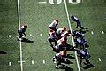 Image result for Python Comment in Real Life