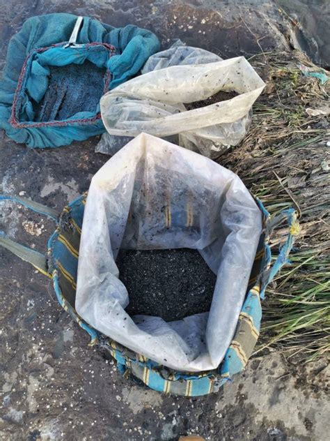 Photo Story:Worm Collectors of a Polluted River – SANDRP