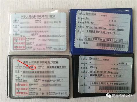 新疆博州一男子拿着假行驶证处理违章|新疆|行驶证|博州_新浪新闻