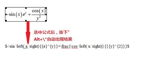 Word MathType 的图像结果