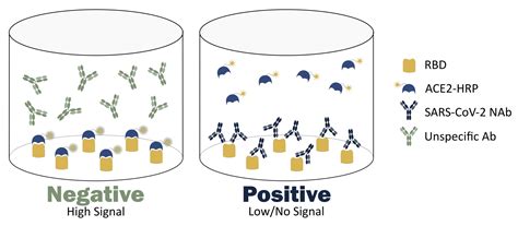 Neutralization Test 的图像结果