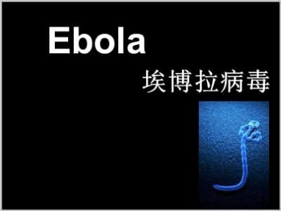 Ebola埃博拉病毒.ppt课件下载-护理_幻灯片汇报_述职_进修-感染科-ppt120.com