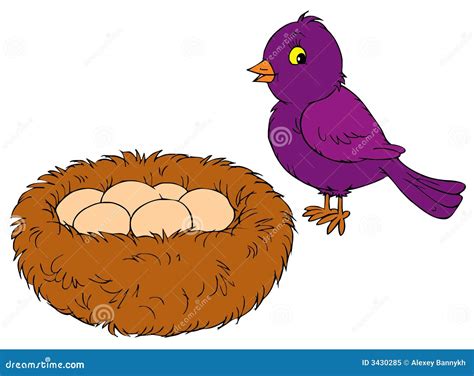 Bird and Nest (vector Clip-art) Stock Vector - Illustration of animal ...