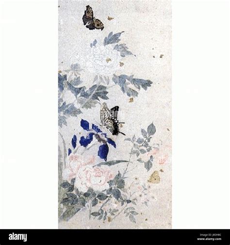 Rich biodiversity of butterflies hi-res stock photography and images - Alamy