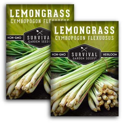 Seed Collection - Lemongrass Seeds – SurvivalGardenSeeds