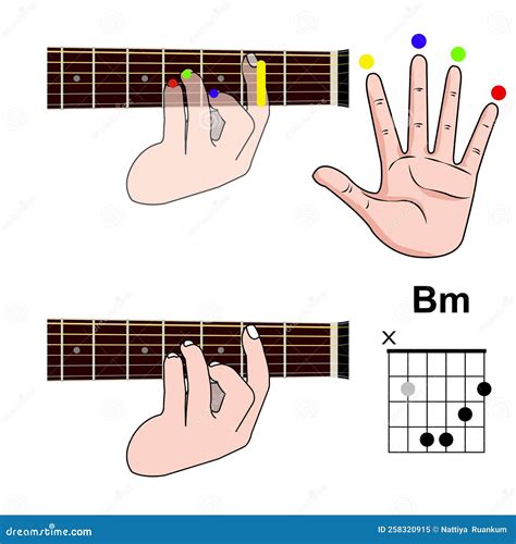 Guitar Chord Basic And Hand Position For Guitar Chord Vector. Freestyle ...