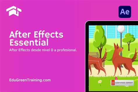 Curso Adobe After Effects Essential para Animaciones - EduGreen Training