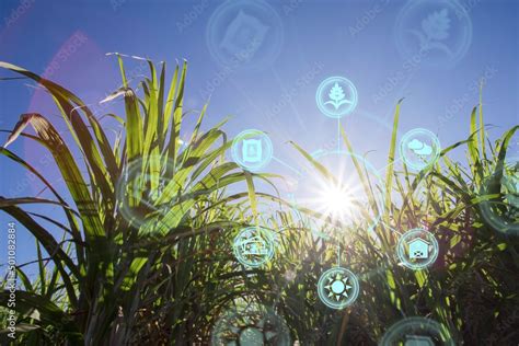Agriculture Technology 的图像结果