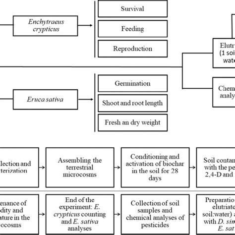 Image result for Experimental Research Design Sample
