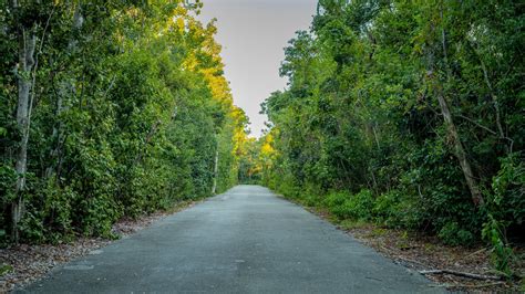 Dagny Johnson Key Largo Hammock Botanical State Park Vacation Rentals ...