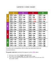 Genetic Code Chart 的图像结果