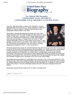 Navy Biography Template - Fill and Sign Printable Template Online