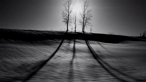 Image result for Alien Walker 1 Hour