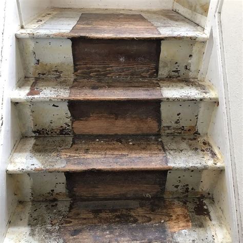 How To Remove Paint From Wood Stairs at Imogen Parry-okeden blog