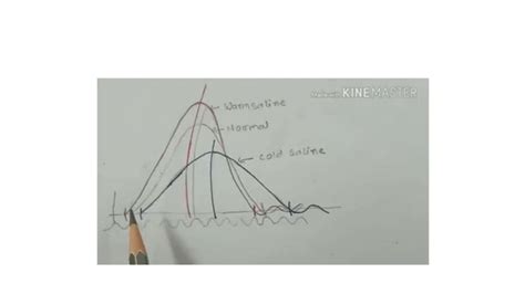 Image result for Muscle Twitch Graph