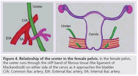Image result for Alien Chart Stickers