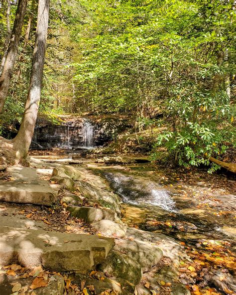 Wildcat Branch Falls (Wildcat Wayside Falls) - Steph Purk