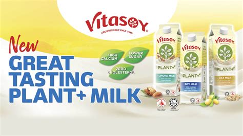 Vitasoy Chocolate Oat Milk Enjoy Discount | www.pinnaxis.com