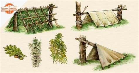 Image result for Different Types of Survival Shelters