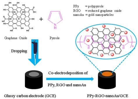 Electrochemical Synthesis of Polypyrrole, Reduced Graphene Oxide, and ...