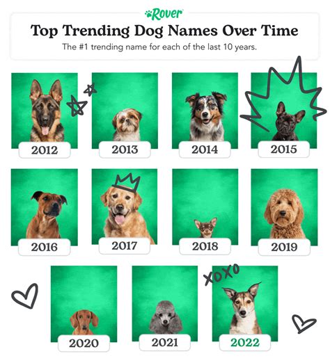 What Is A Female Dog Called Siri at David Carstens blog