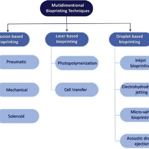 Tissue Engineering Journal 的图像结果